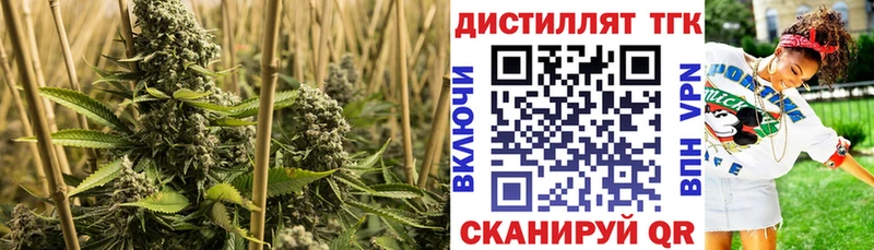 ТГК гашишное масло  Купить закладки  Красноуральск