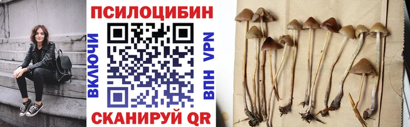 Галлюциногенные грибы ЛСД  Купить закладки  Красноуральск 